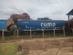 RUMO HTT-351815-9